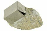 Pyrite Cube In Rock - Navajun, Spain #118237-1